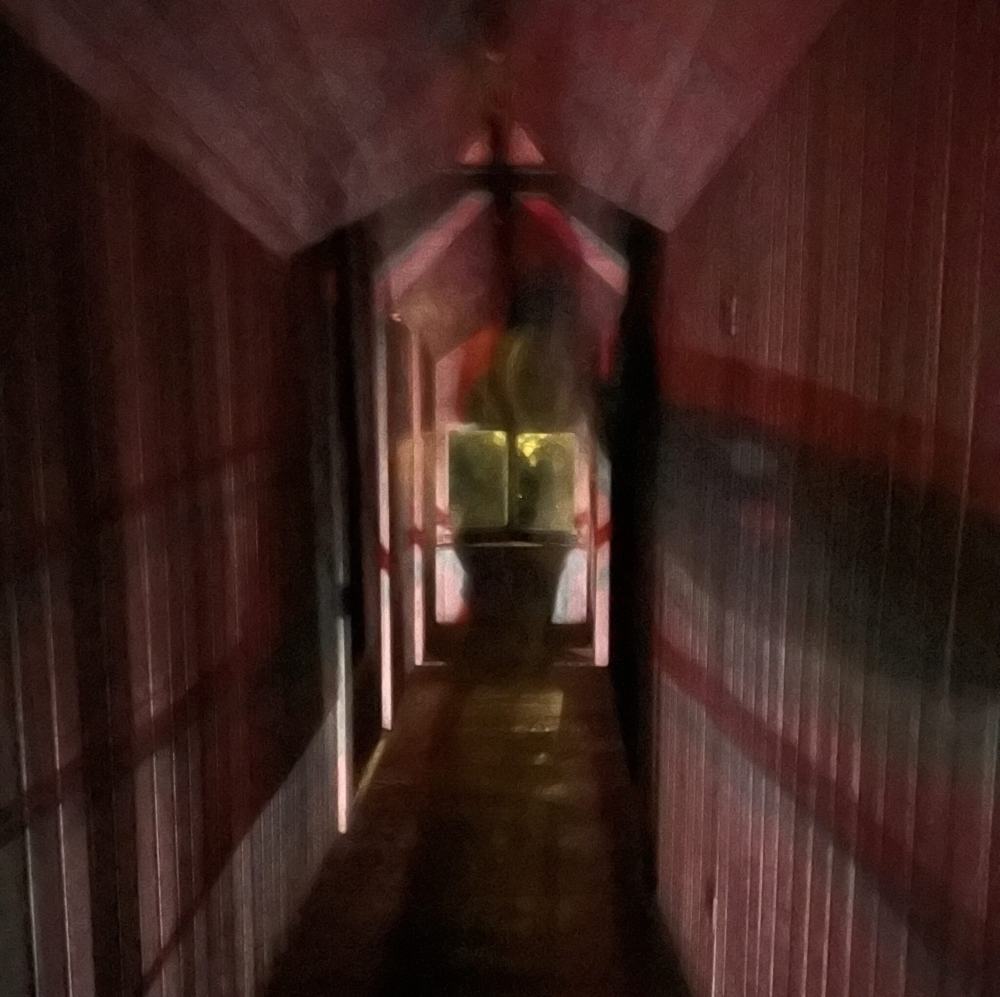 This photo was shared by Cristina G. from California, who visited on May 10, 2025. While reviewing her photos, she saw what looks like the outline of a woman to her.