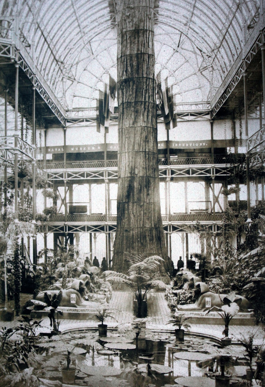 The bark of a giant California redwood, called “Mother of the Forest” reconstructed in the Crystal Palace in London, 1859